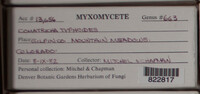 Image Associated With the Occurence